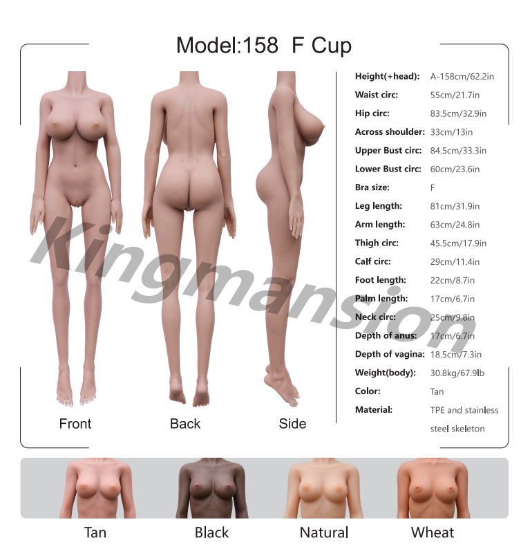 Kingmansion 158cm Lifelike TPE Sex Doll Body With Big Boobs Ass Steel Skeleton Toys (Only Torso)