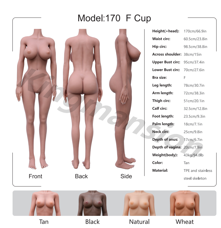 Kingmansion 170cm Lifelike TPE Sex Doll Body With Big Boobs Ass Steel Skeleton Toys (Only Torso)